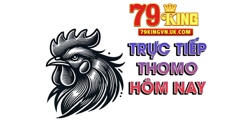 79king đá gà trực tiếp